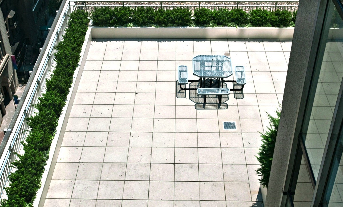 rooftopyawn.jpg