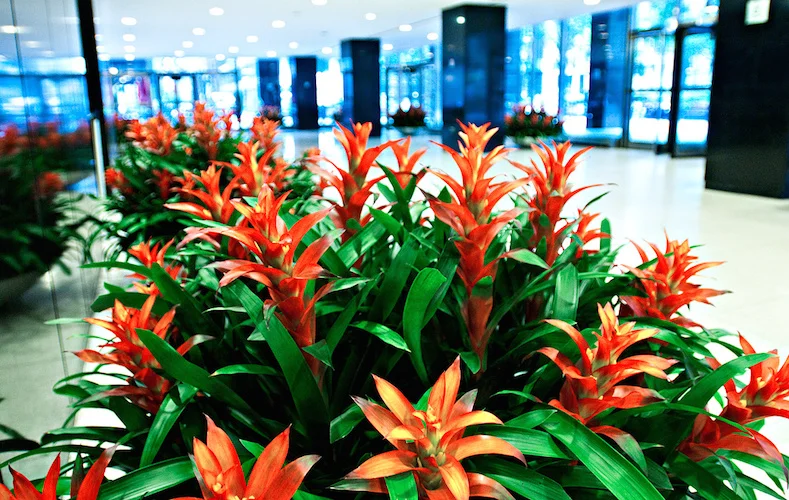 7281-306170-10_07_28PLANTUSnycB8282.jpg
