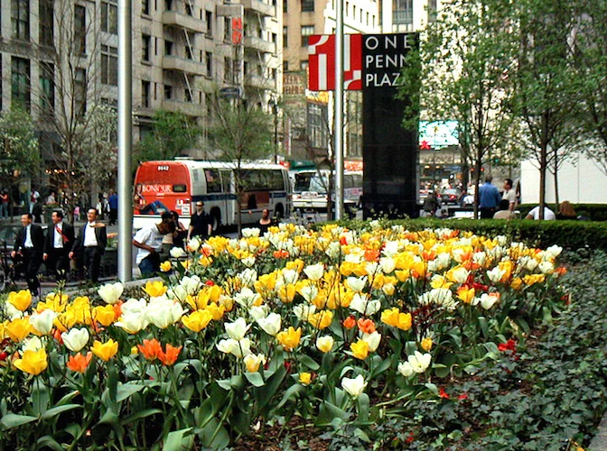 7281-306194-PICT0019_1.jpg