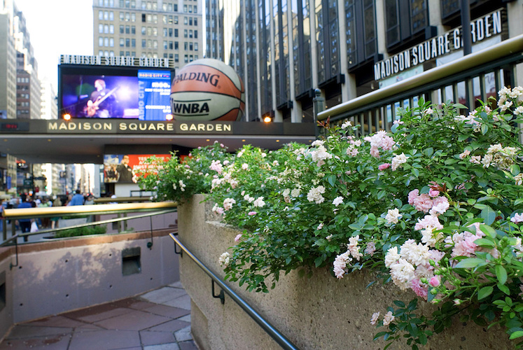 7281-306200-TheGarden.jpg