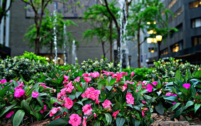 7281-251424-B05_03MaidnLane096.jpg