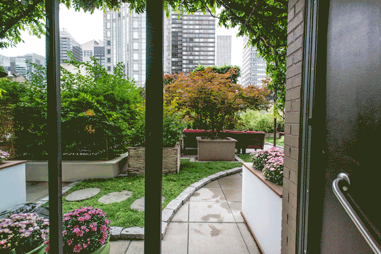 7281-11179379-PlantusTourNew_gif.gif