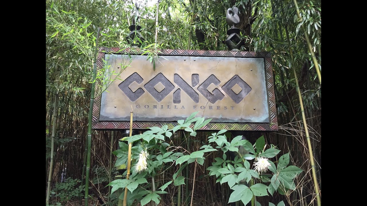 Congo Sign .jpg