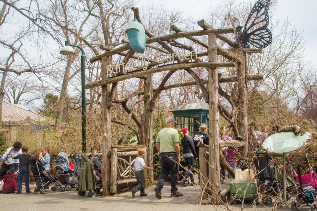 Butterfly garden.jpg