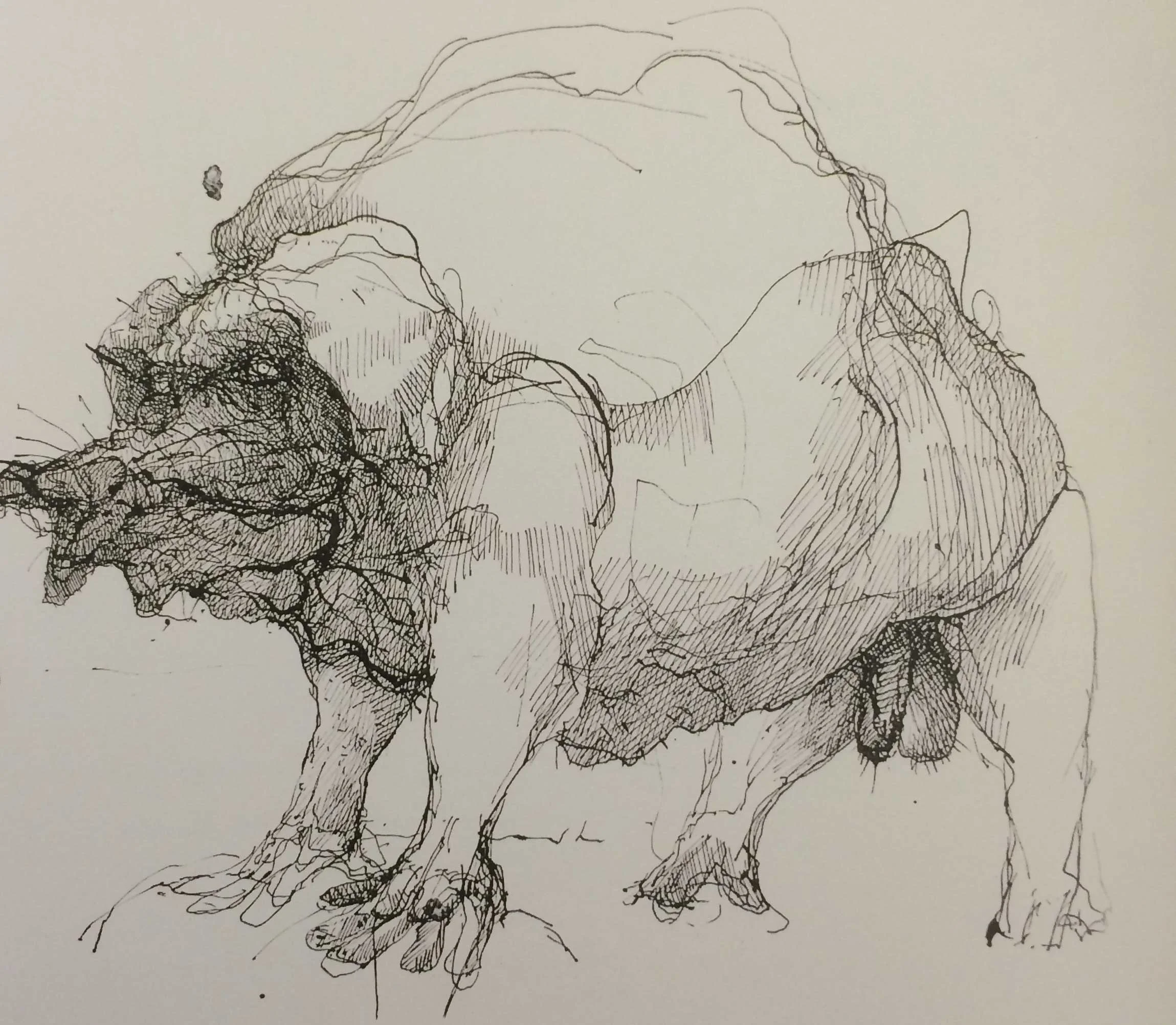 ‘STUDY FOR LOVIS THE BOAR’. Pen and ink. 6x4” 1995