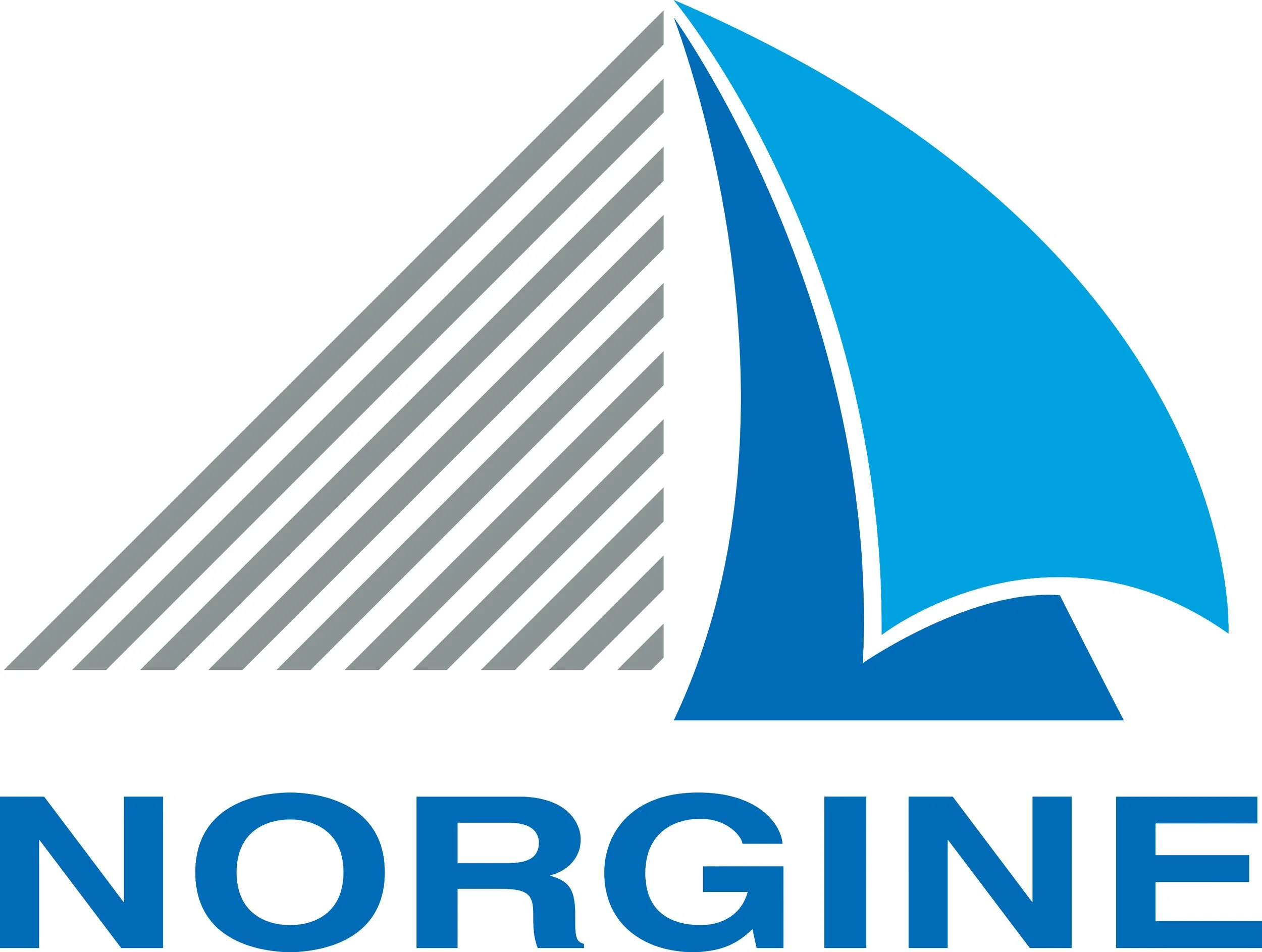 Norgine-Logo-Colour-Web.jpg