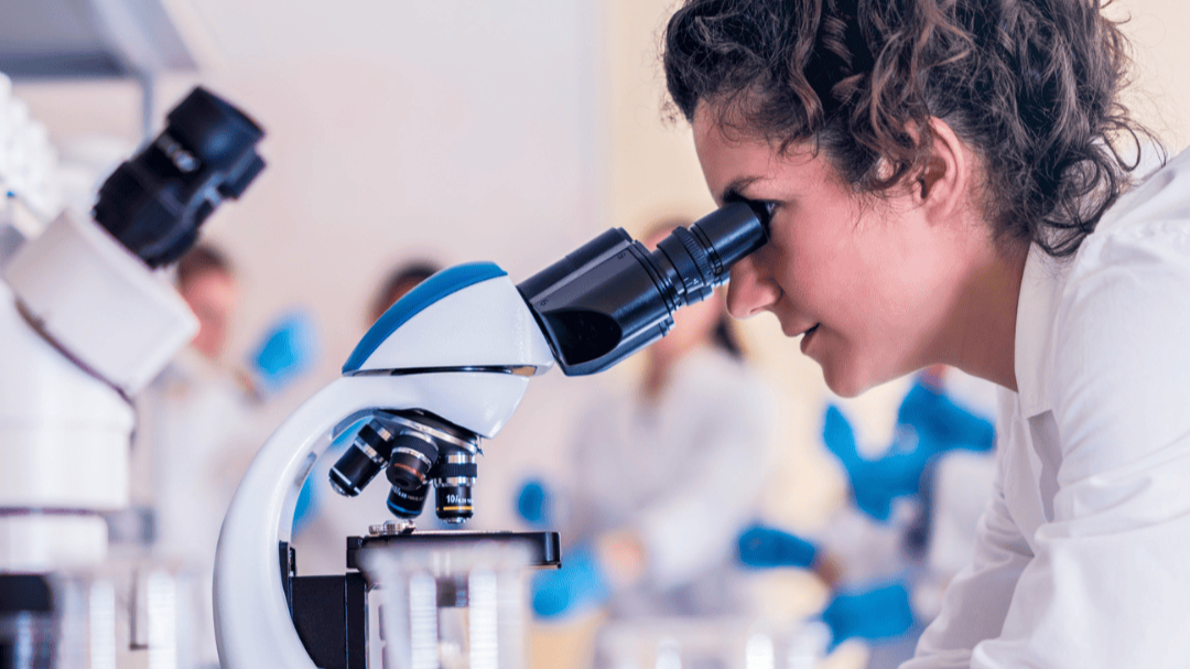 SIOPEN High-Risk Neuroblastoma Study 2: Progress Update 