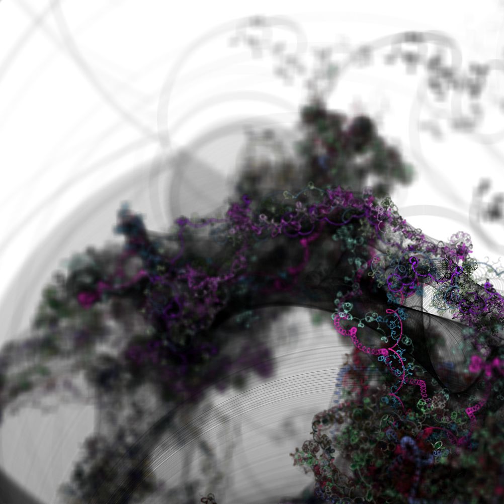 shrub_banner.jpg