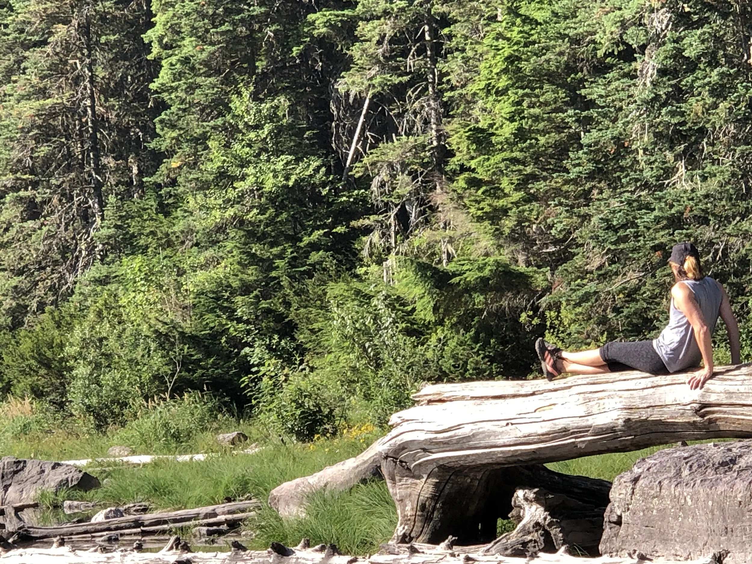 Gratitude in motion