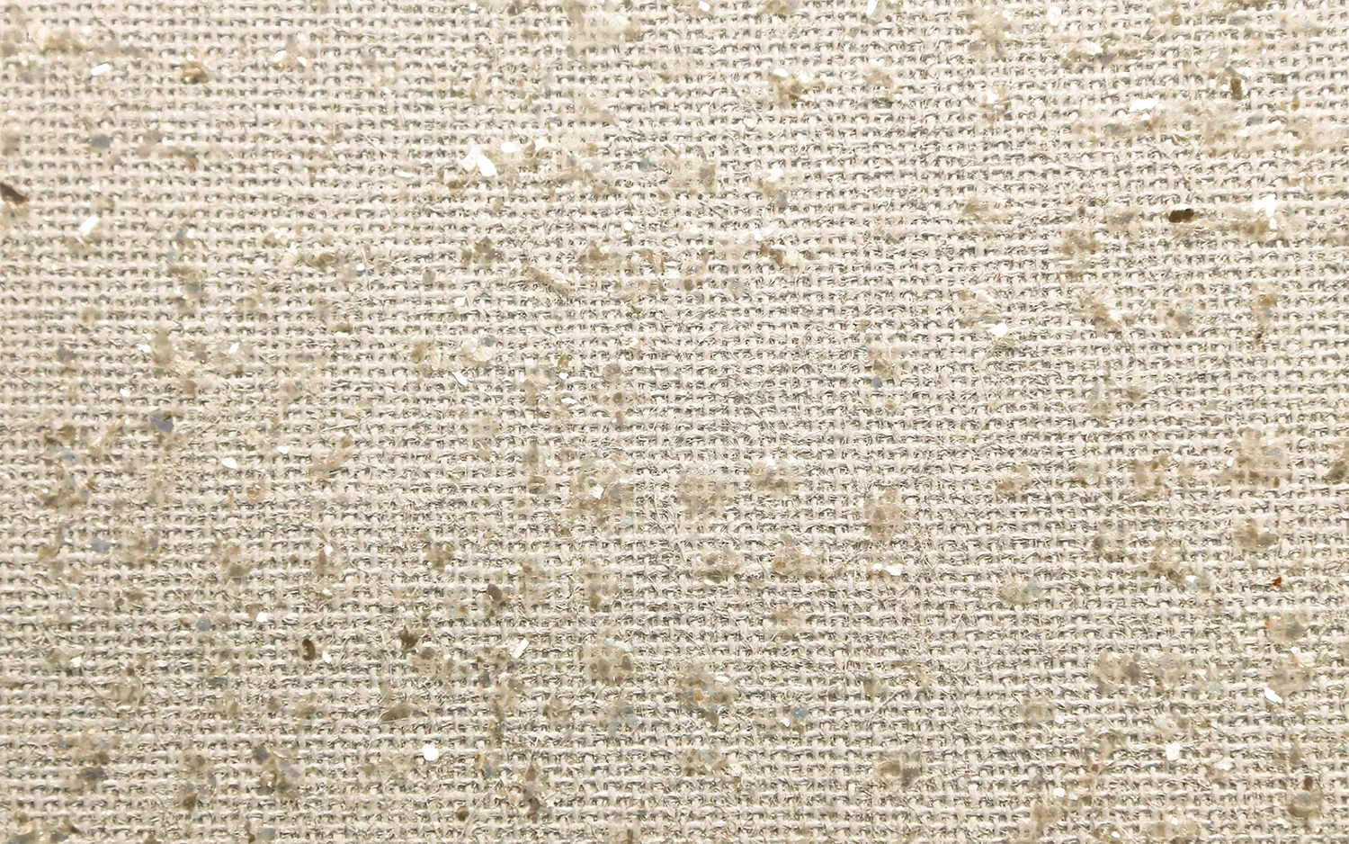 Champagne Fizz_for web - 2.jpg