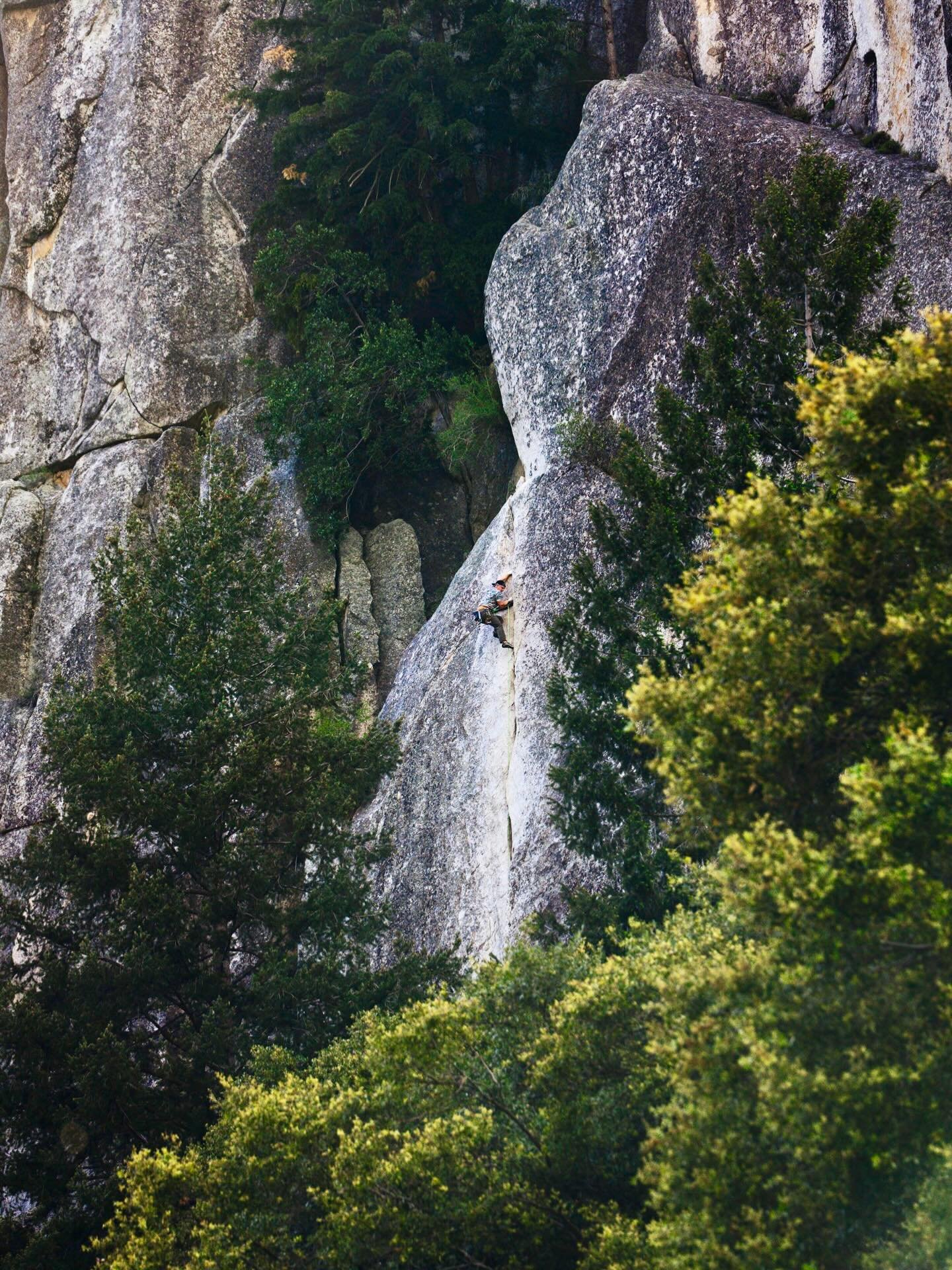 Catchy // Yosemite Valley