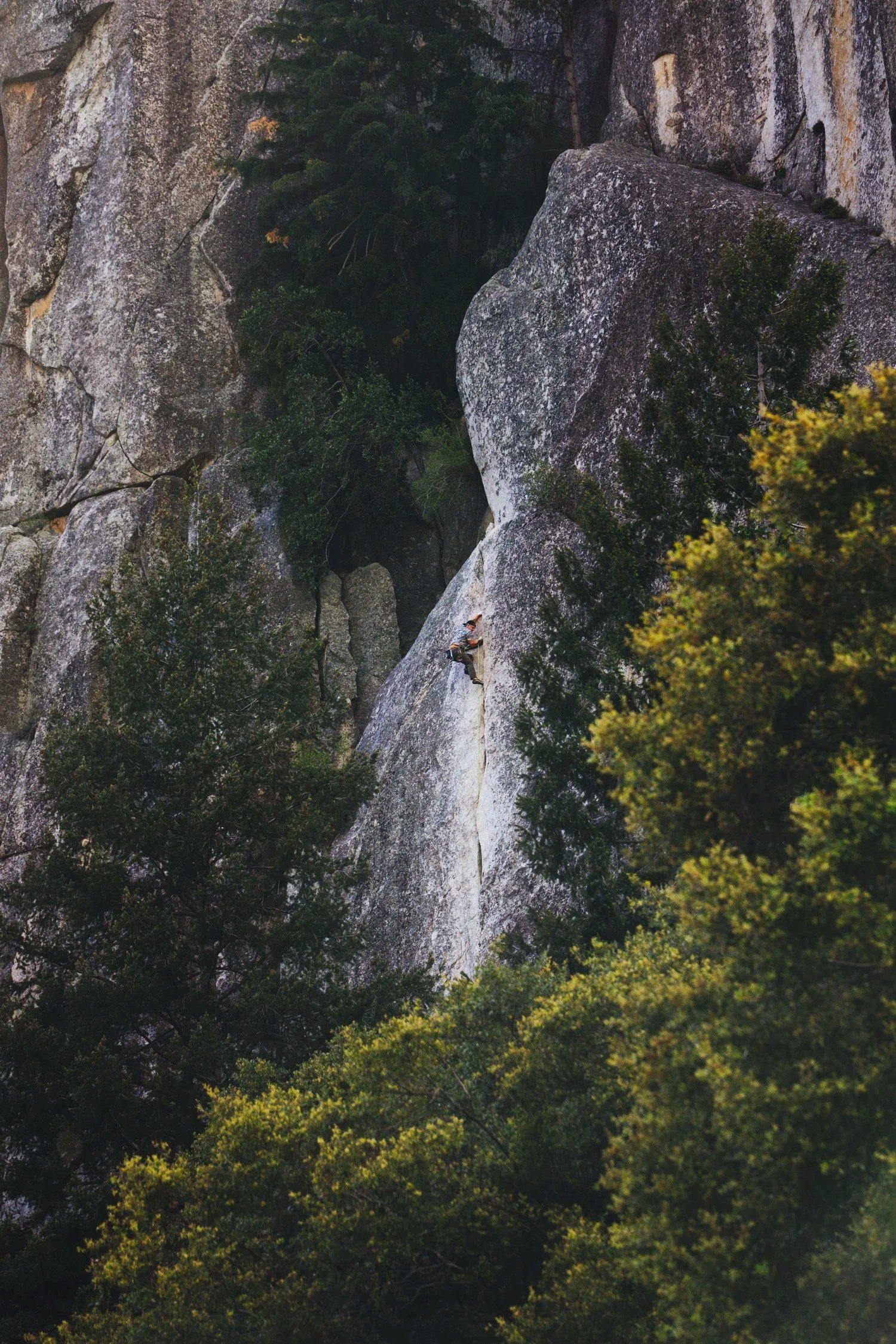 catchy yosemite