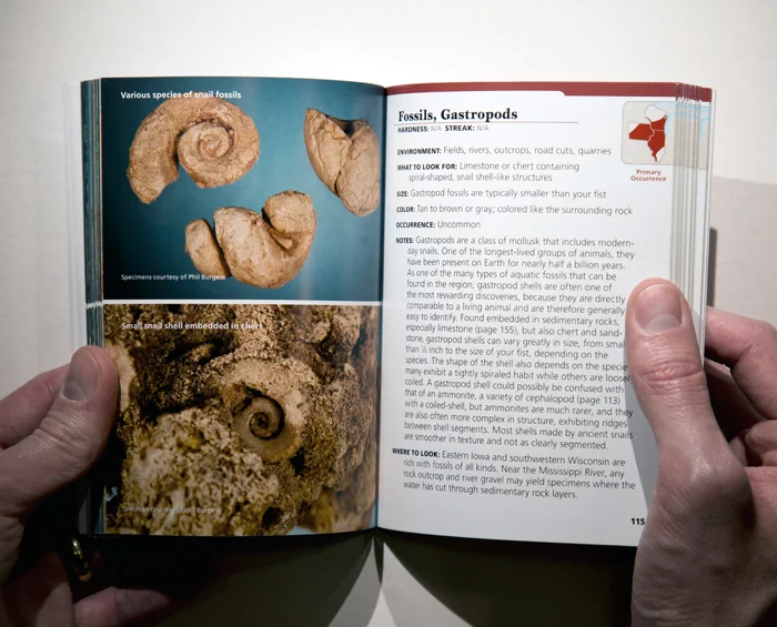 Wisconsin, Illinois & Iowa Rocks & Minerals