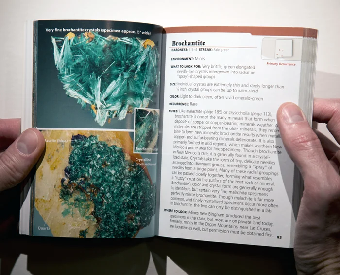 New Mexico Rocks & Minerals