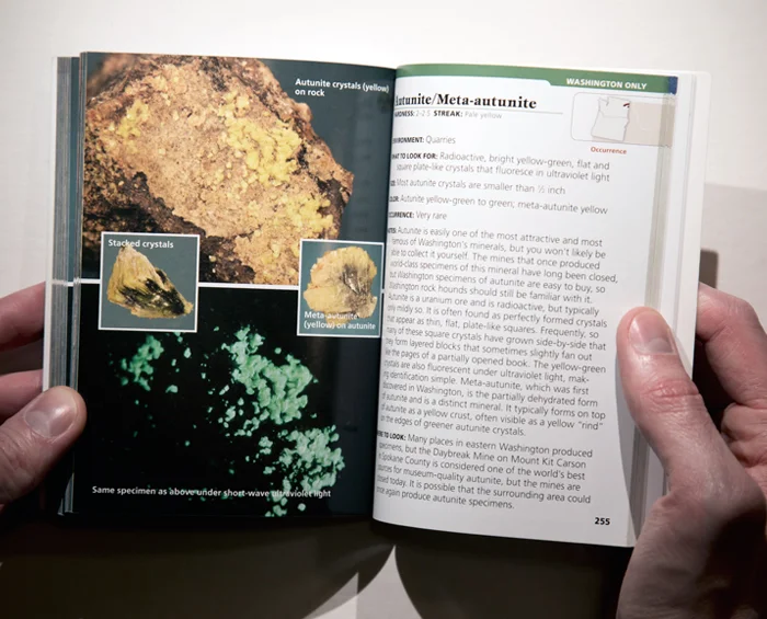 Washington & Oregon Rocks & Minerals