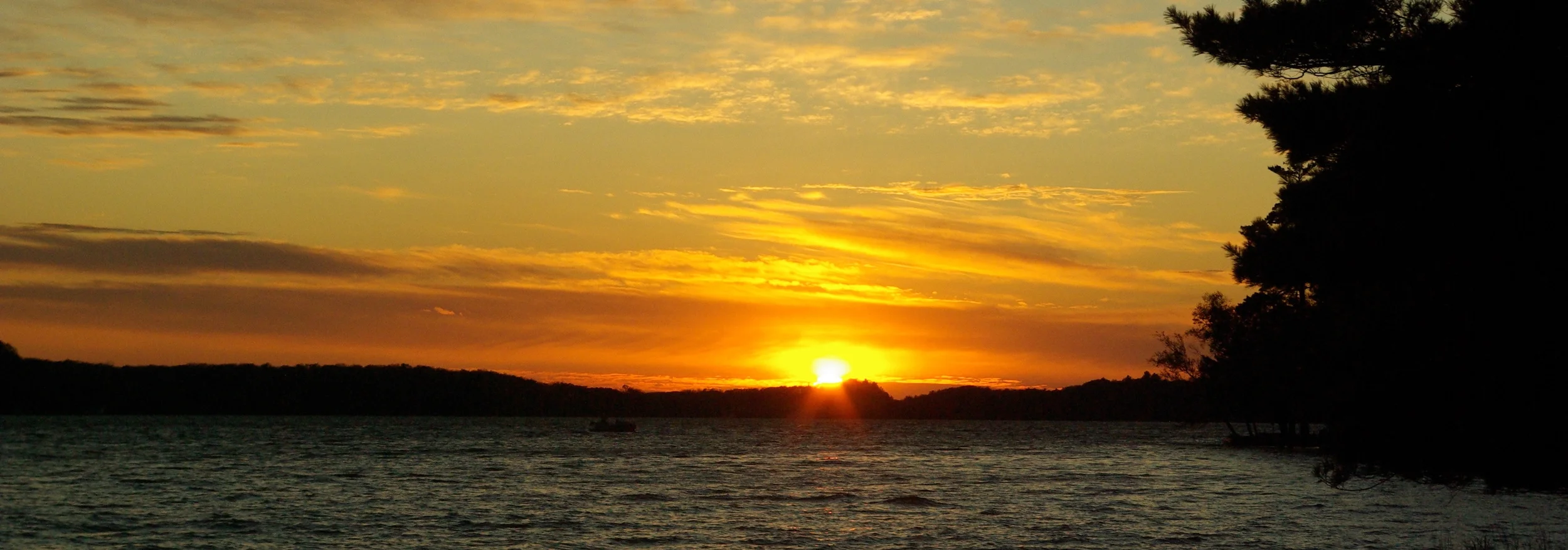 Home Camp Douglas Smith