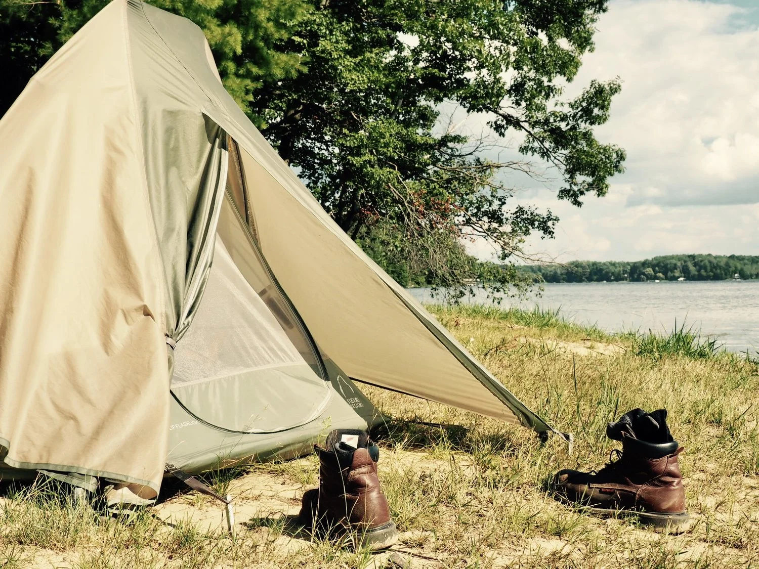 Home Camp Douglas Smith