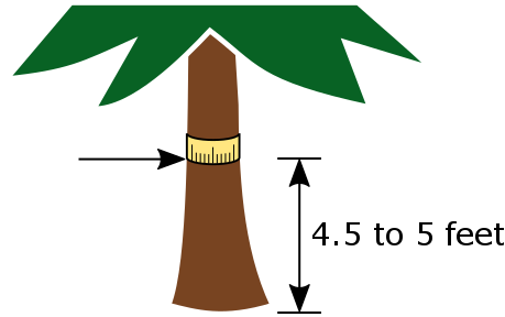 Tree Growth Factor Chart