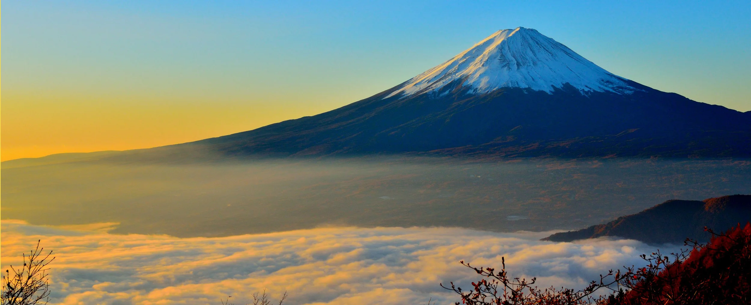 fuji-banner.jpg