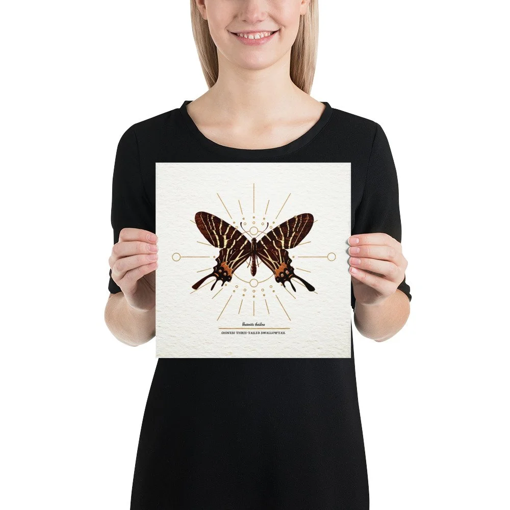 enhanced-matte-paper-poster-(in)-10x10-person-65ac7c8f6fbaf.jpg