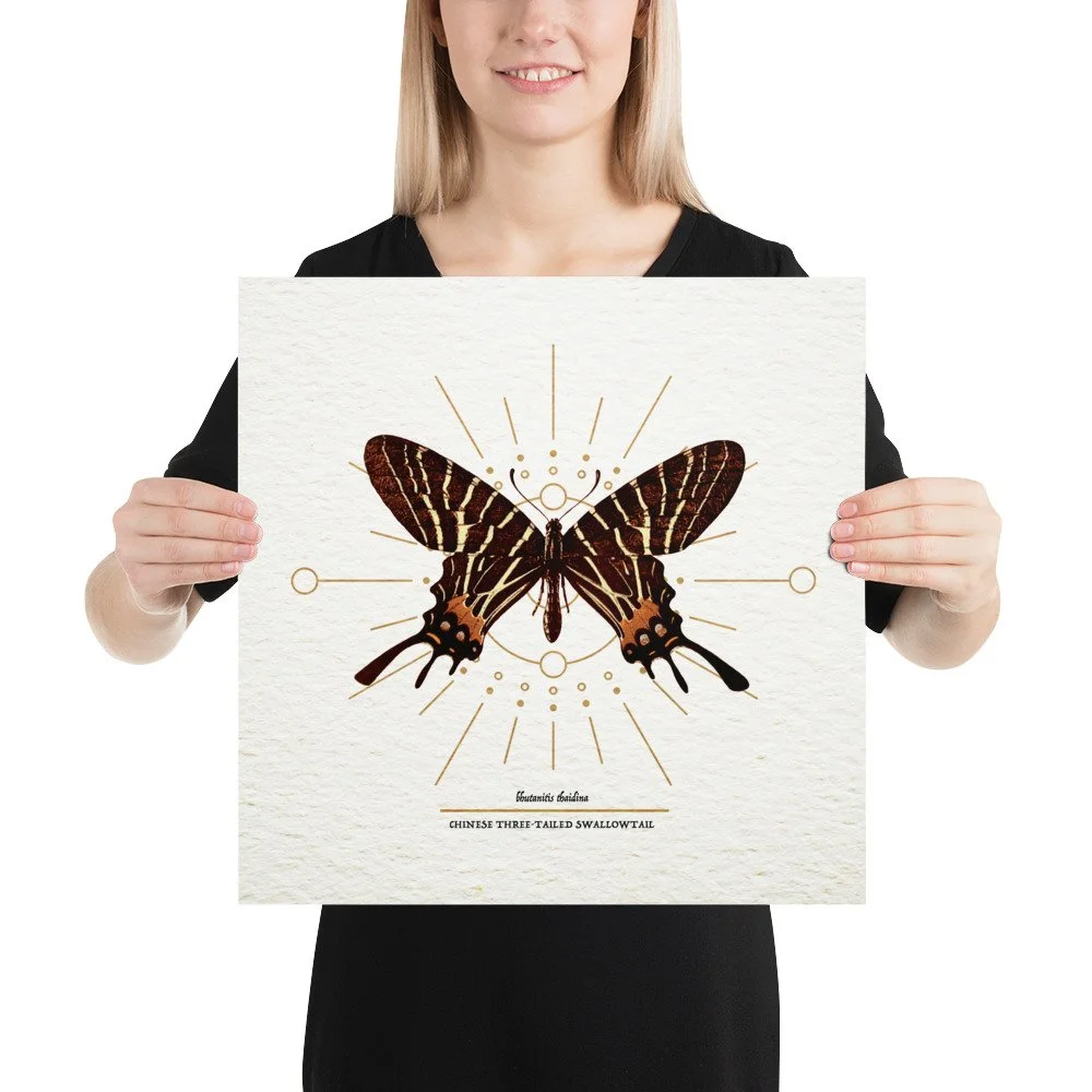 enhanced-matte-paper-poster-(in)-16x16-person-65ac7c8f711be.jpg