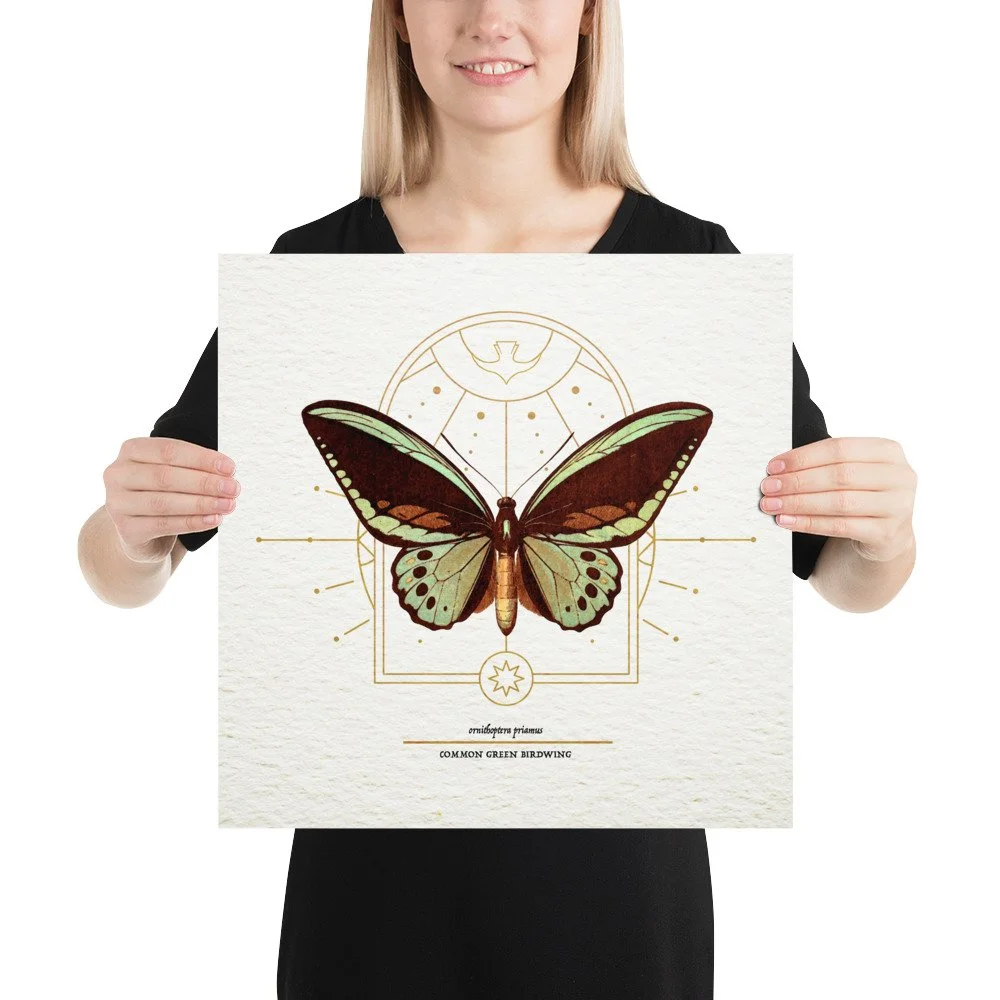 enhanced-matte-paper-poster-(in)-16x16-person-65ac7cbb64120.jpg