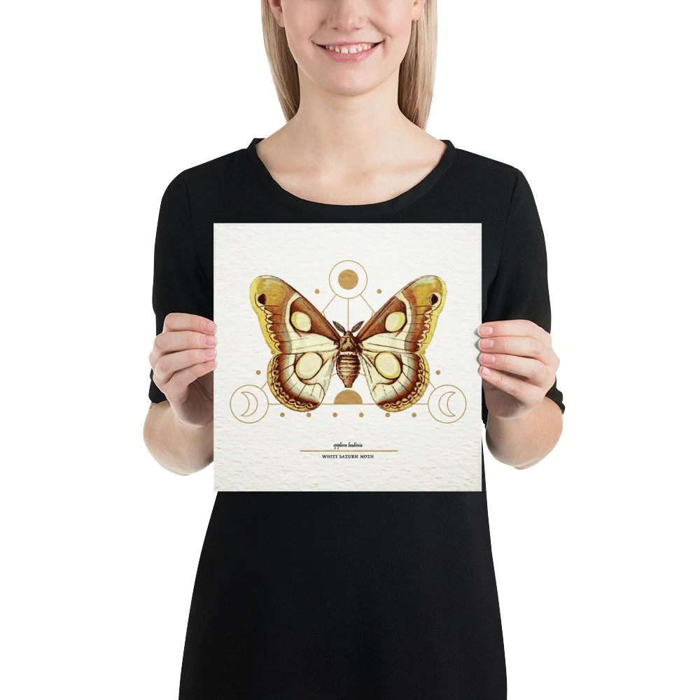 enhanced-matte-paper-poster-(in)-10x10-person-65ac7cf19503f.jpg