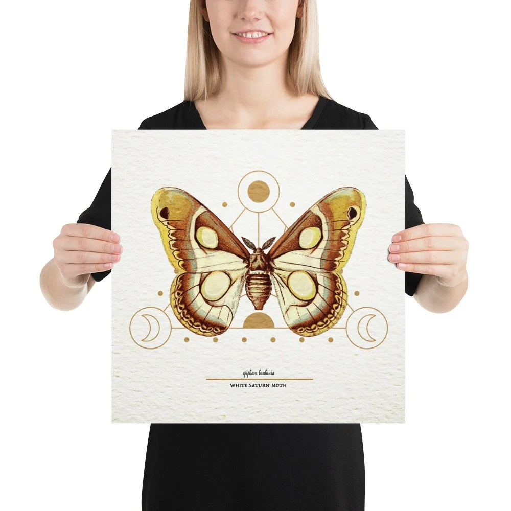 enhanced-matte-paper-poster-(in)-16x16-person-65ac7cf1965a2.jpg