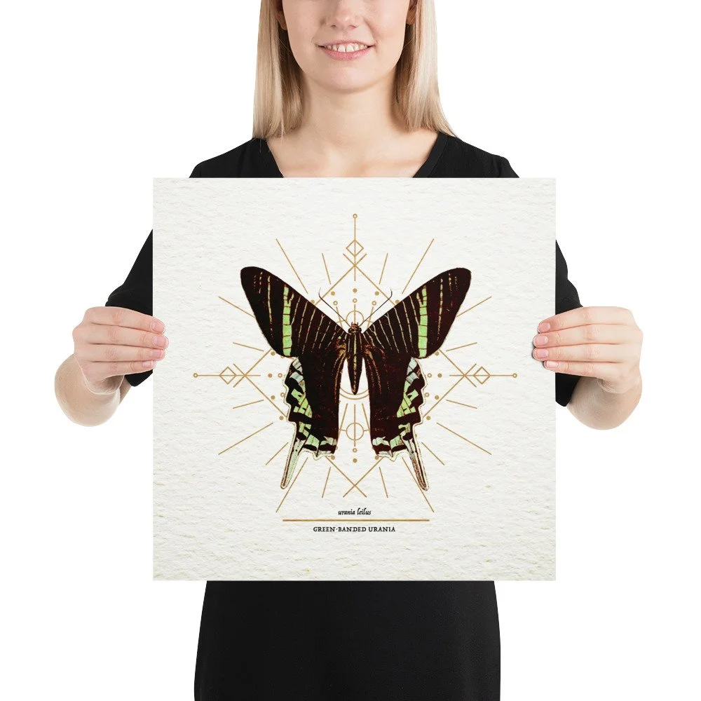 enhanced-matte-paper-poster-(in)-16x16-person-65ac7d12da855.jpg