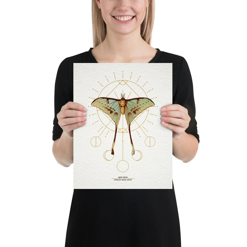 enhanced-matte-paper-poster-(in)-11x14-person-65ac7d6c8cc09.jpg