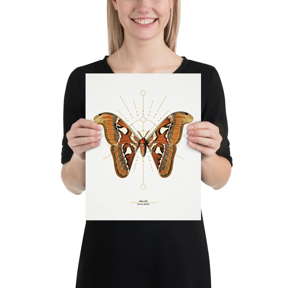 enhanced-matte-paper-poster-(in)-11x14-person-661dcc79a20bf.jpg