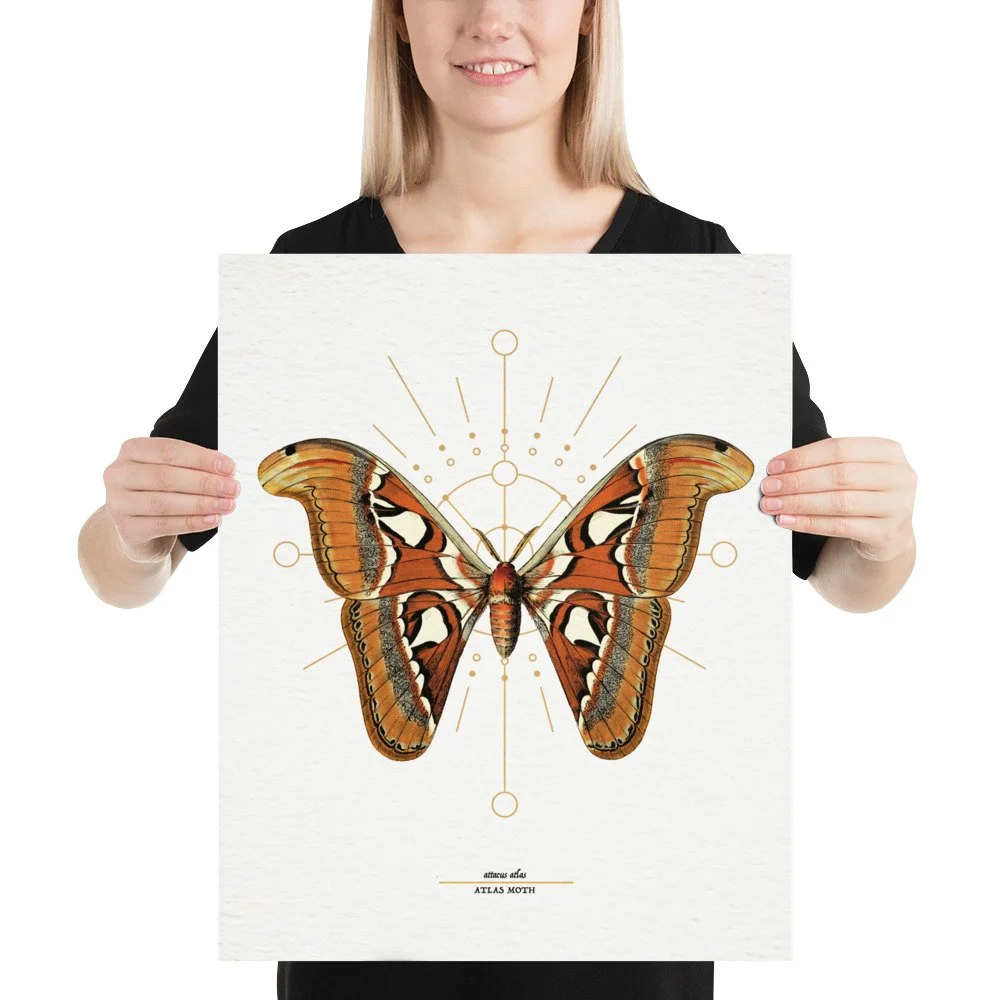 enhanced-matte-paper-poster-(in)-16x20-person-661dcc79a2ba5.jpg