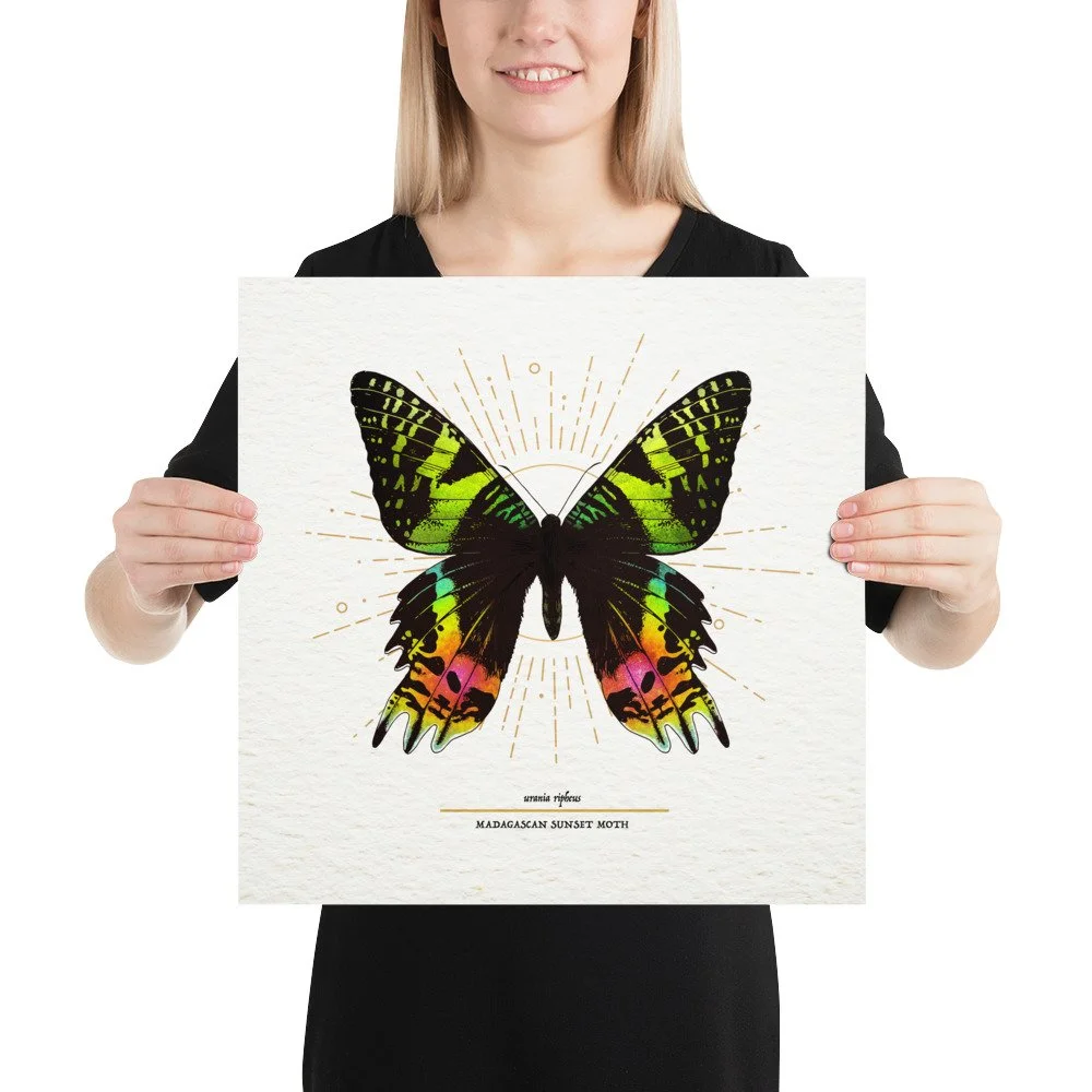 enhanced-matte-paper-poster-(in)-16x16-person-66bb88ada7409.jpg