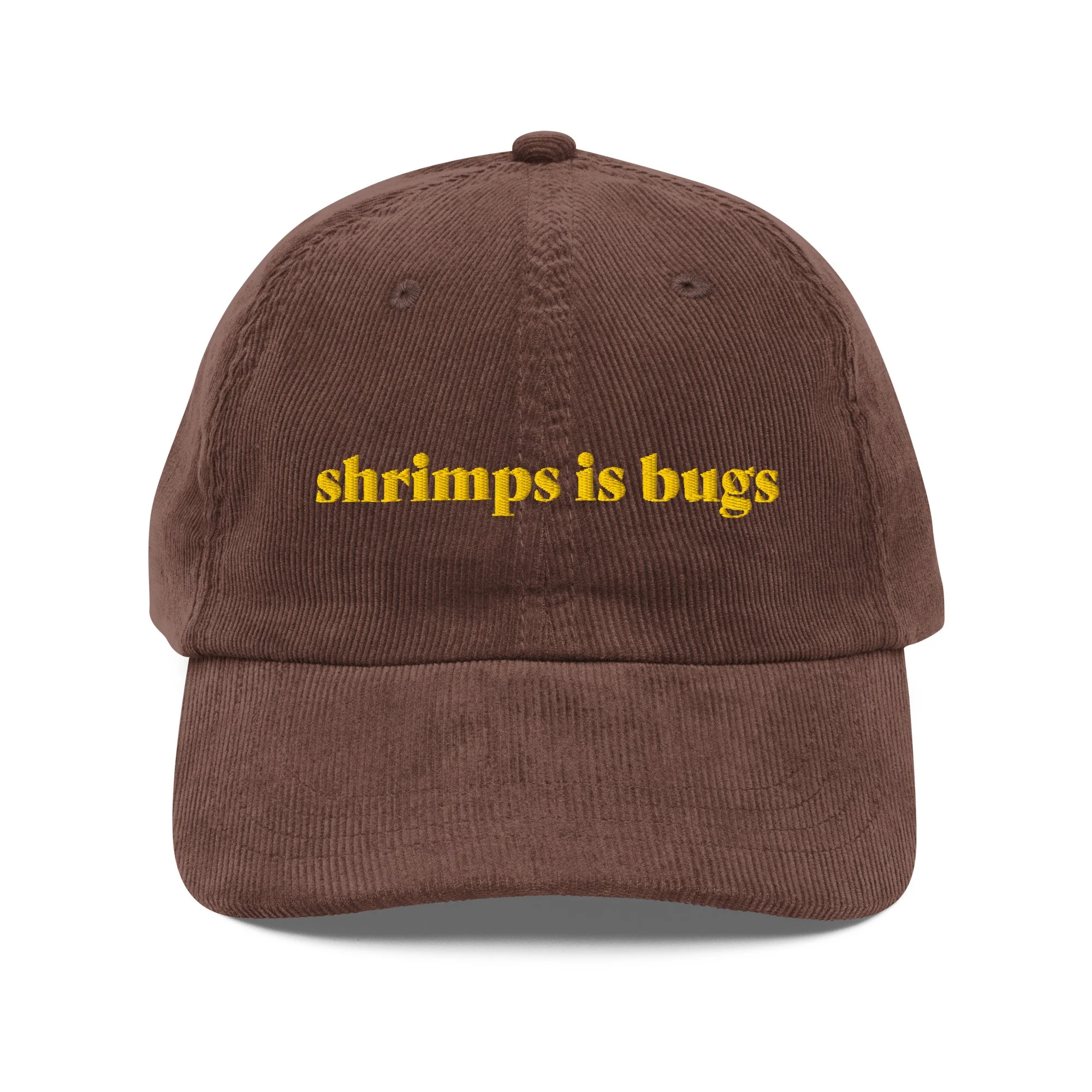 vintage-corduroy-cap-brown-front-6754f13a49603.jpg