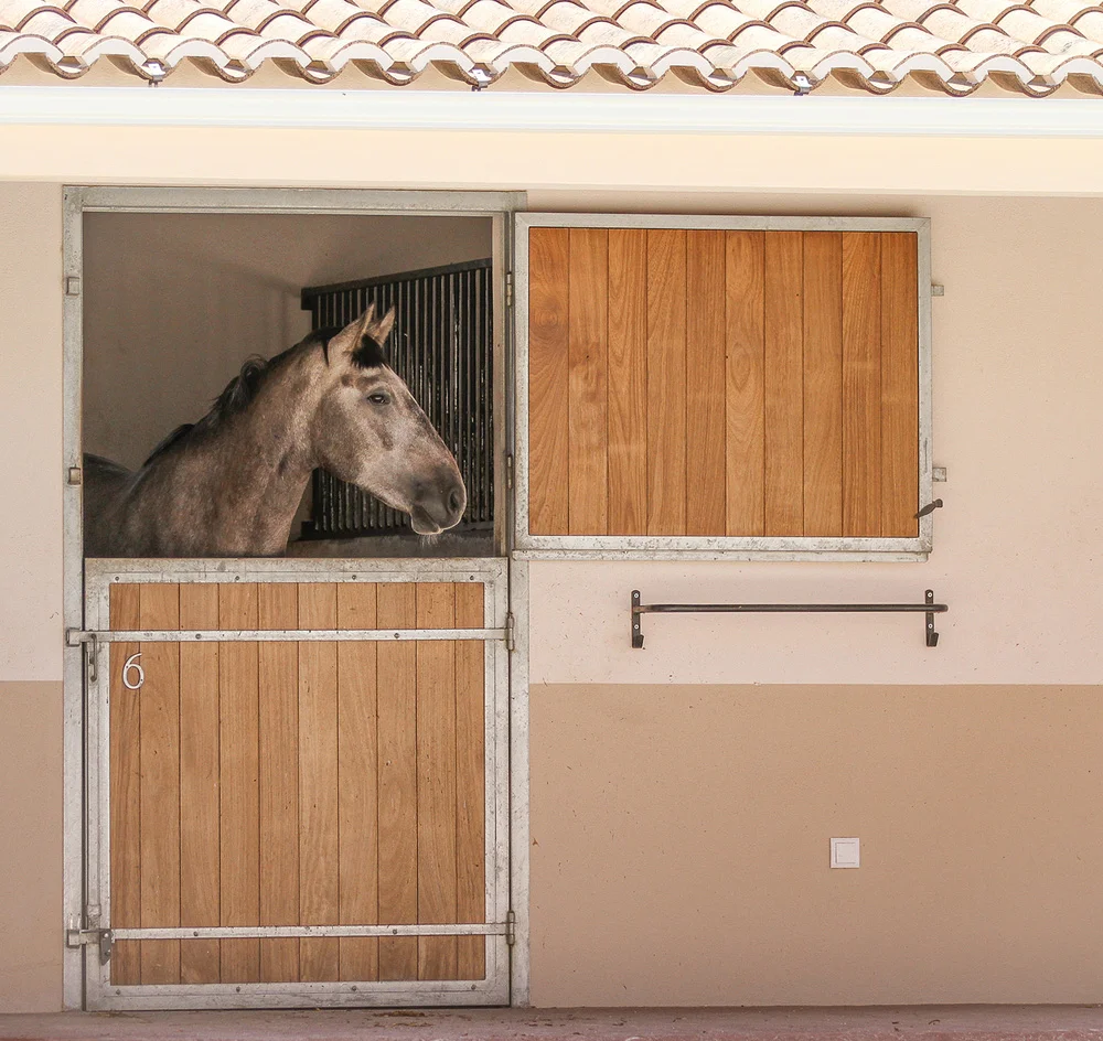 Cavalos em Portugal