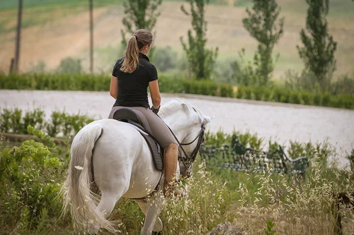 Foire du Cheval à Golegã