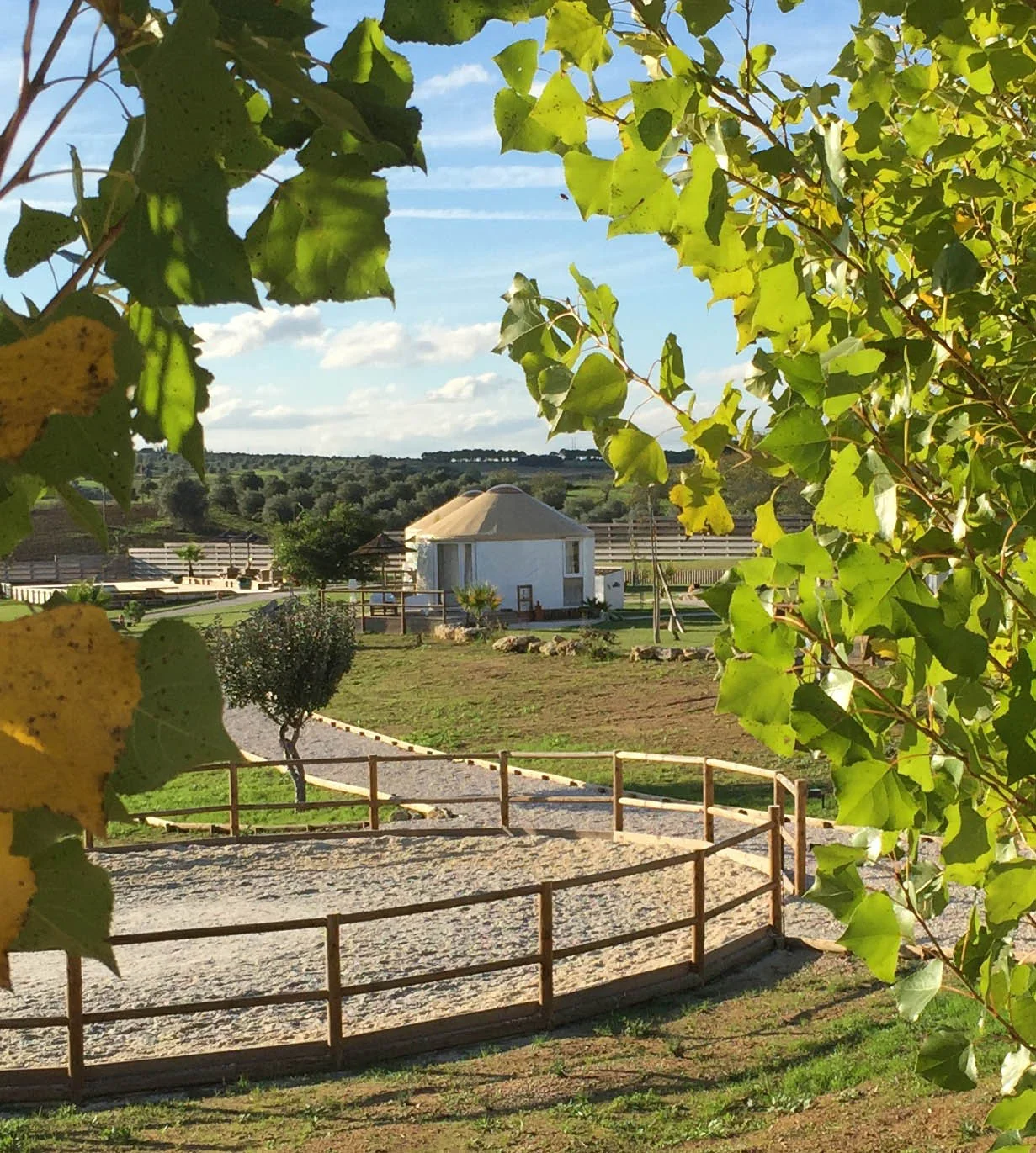 Paisagem ribatejana