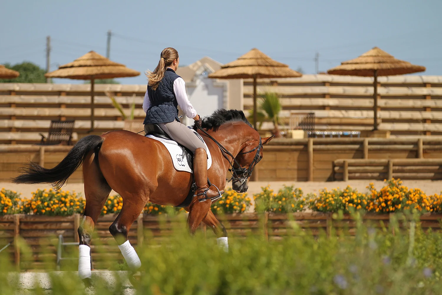 Equestre-7575.jpg