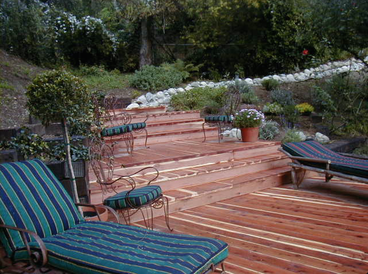 Backyard after