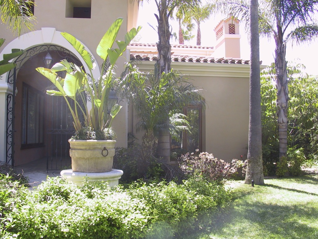 Entry front windows