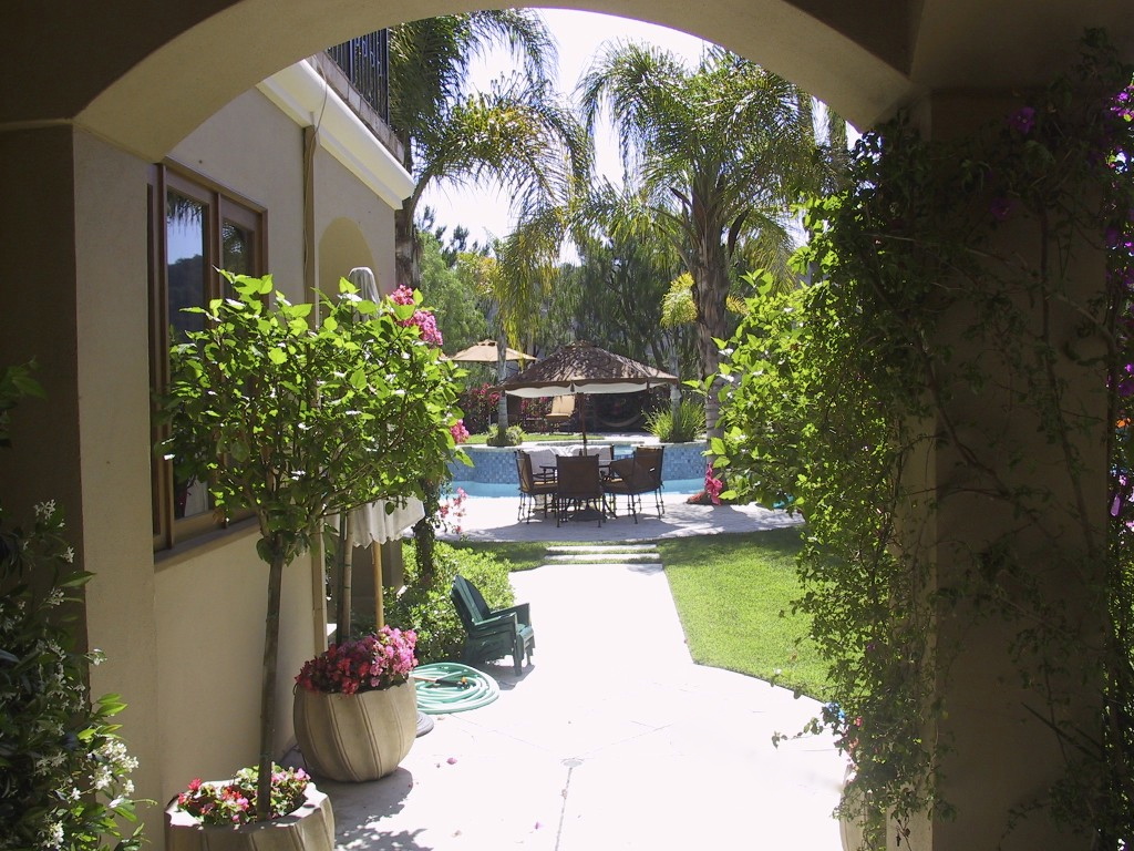 back patio dining
