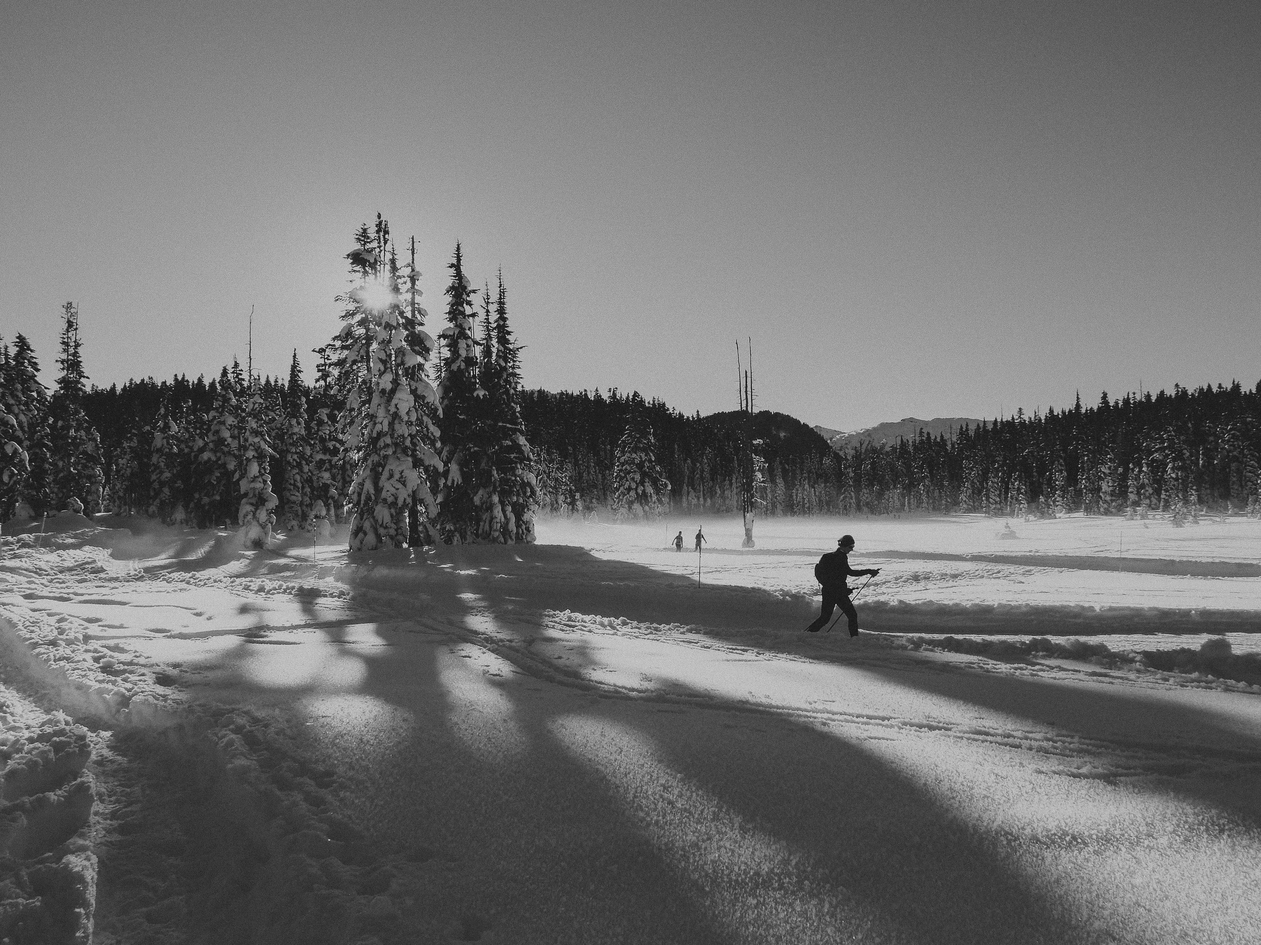 DSCF2157.jpg