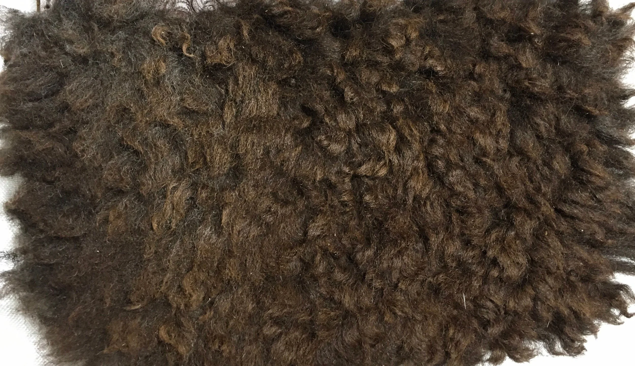 https://i.etsystatic.com/7243257/r/il/7173ae/4468776521/il_fullxfull.4468776521_k5zd.jpg