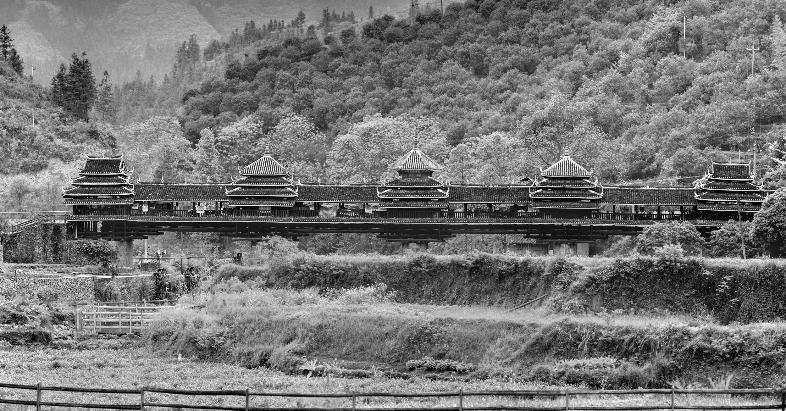 Welcome to Goyal Consulting Group