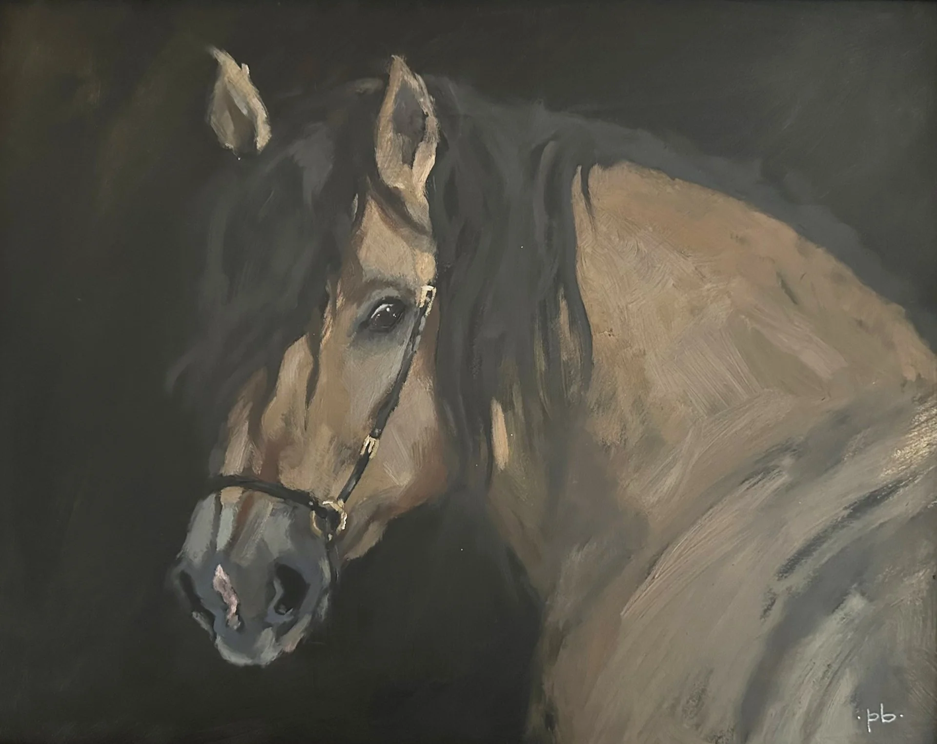 Shadow | 11" x 14" | oil on panel | $400