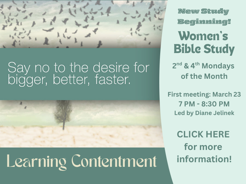 Contentment study week 1 Women's Bible Study Website banner.png