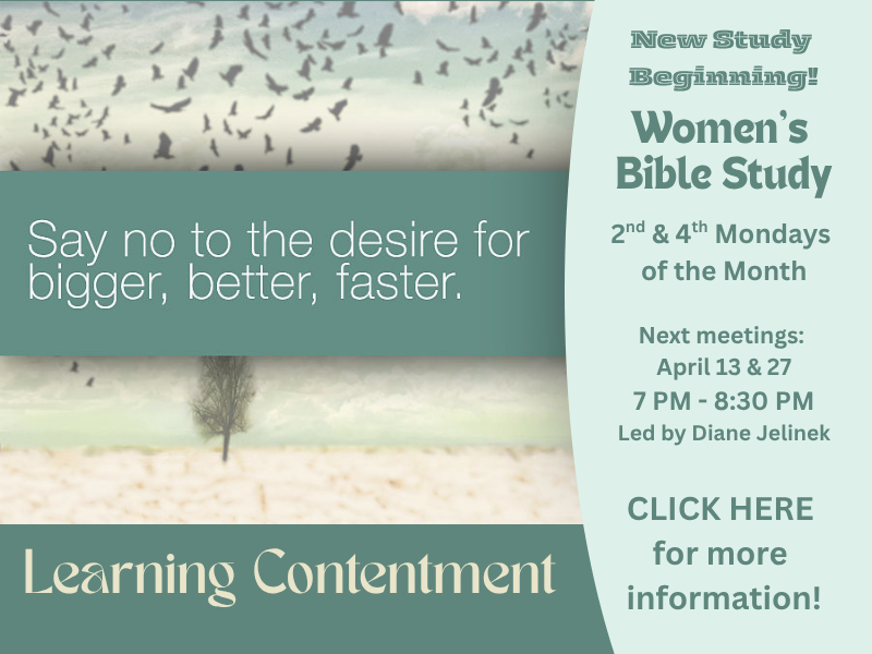 Contentment study week 1 Women's Bible Study Website banner (1).png