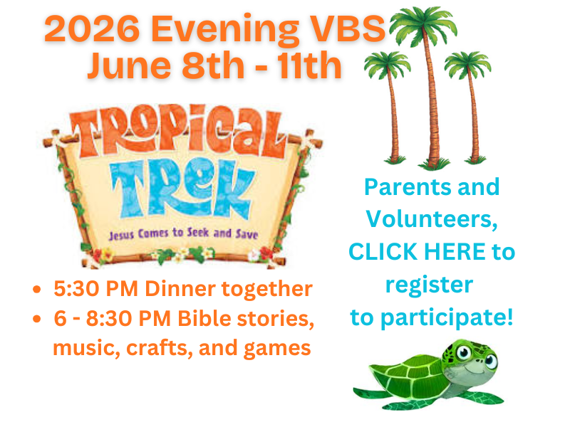 VBS 2025 website banner (6).png
