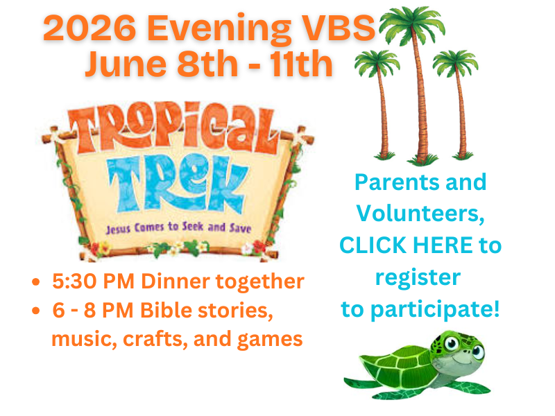 VBS 2025 website banner (7).png