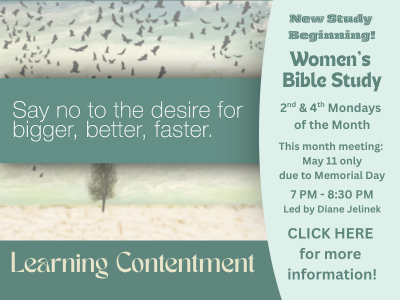 Contentment study Women's Bible Study Website banner.png